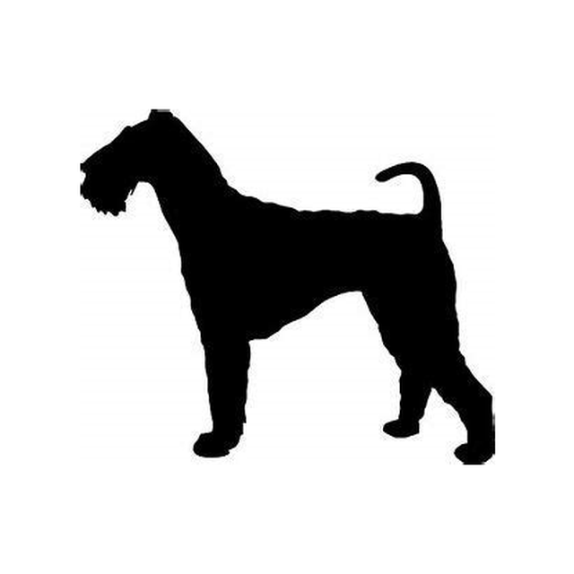 Airedale
