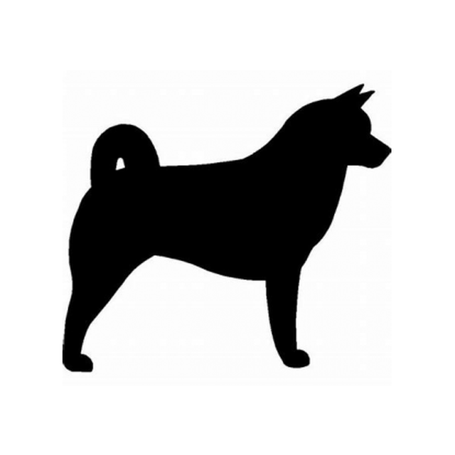 Akita
