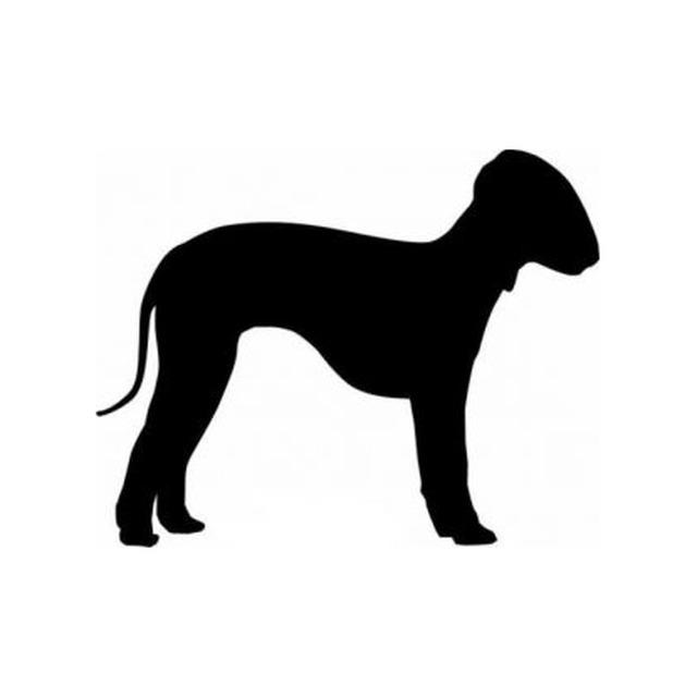 Bedlinton Terrier