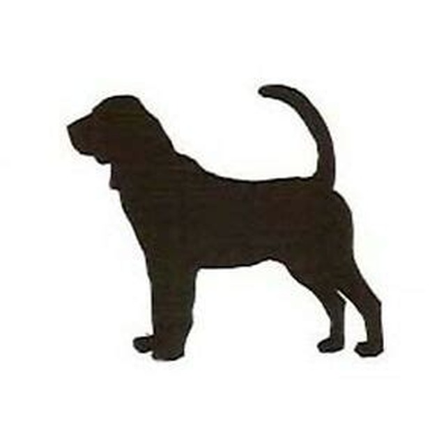 Bloodhound