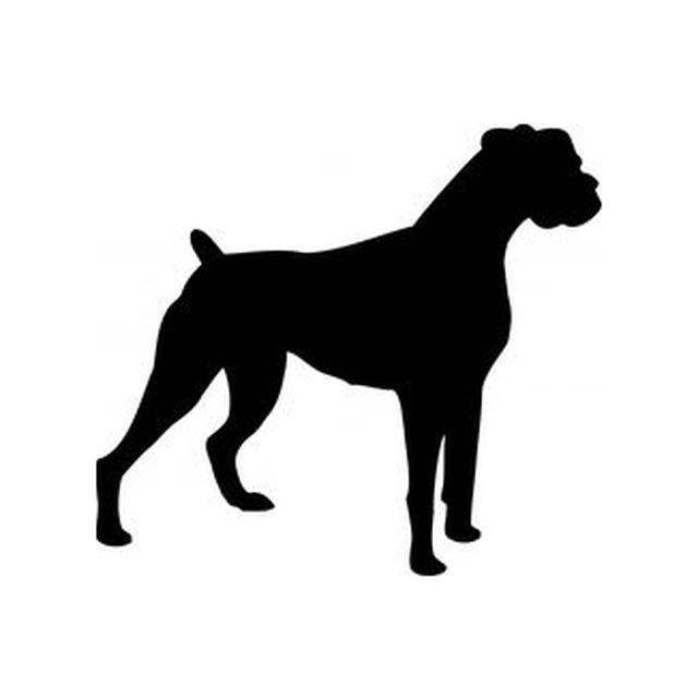 Boxer 2