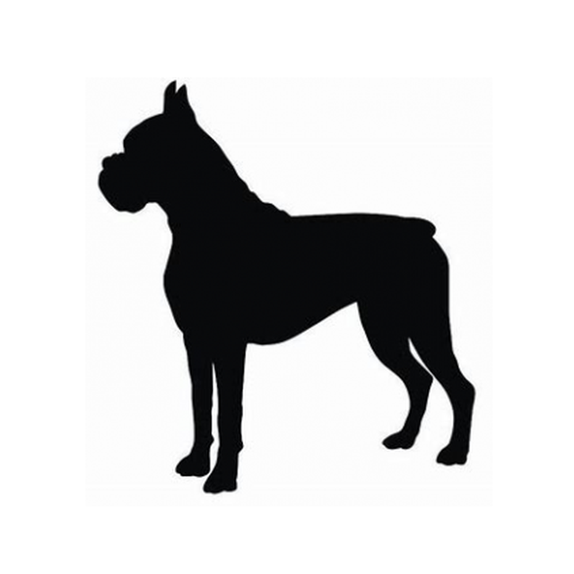 Boxer 3