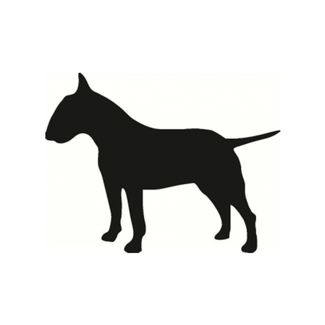 Bull Terrier 1