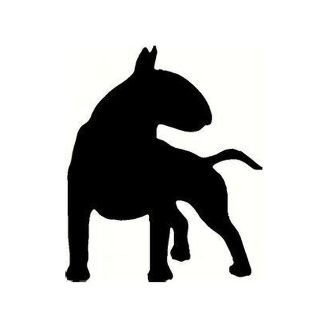Bull Terrier 2