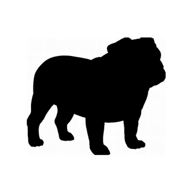 Bull Dog 1