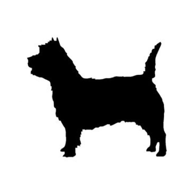 Cairn Terrier 2