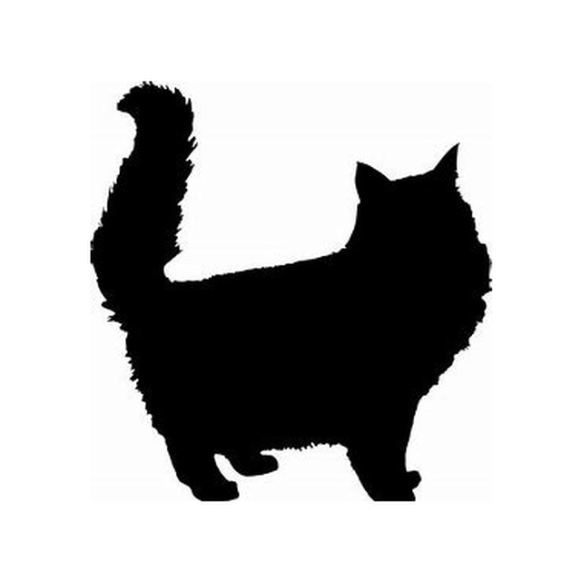 Cat 1