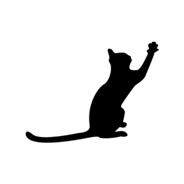 Cat 10