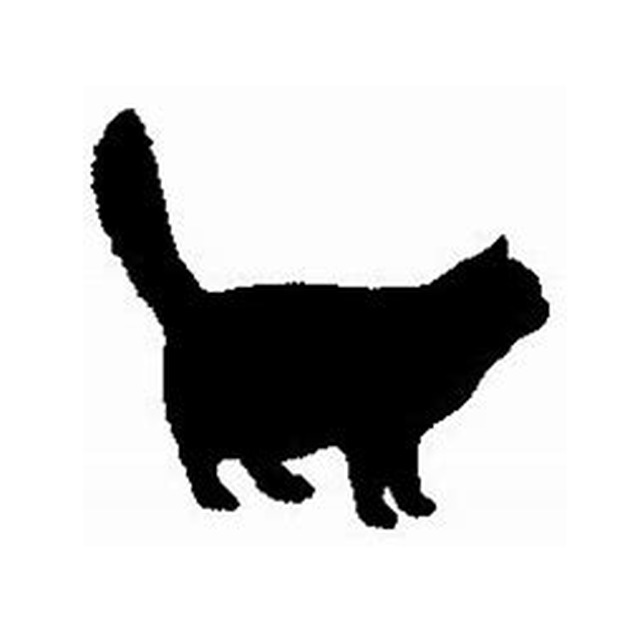 Cat 2