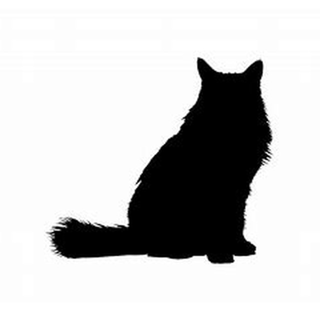 Cat 3