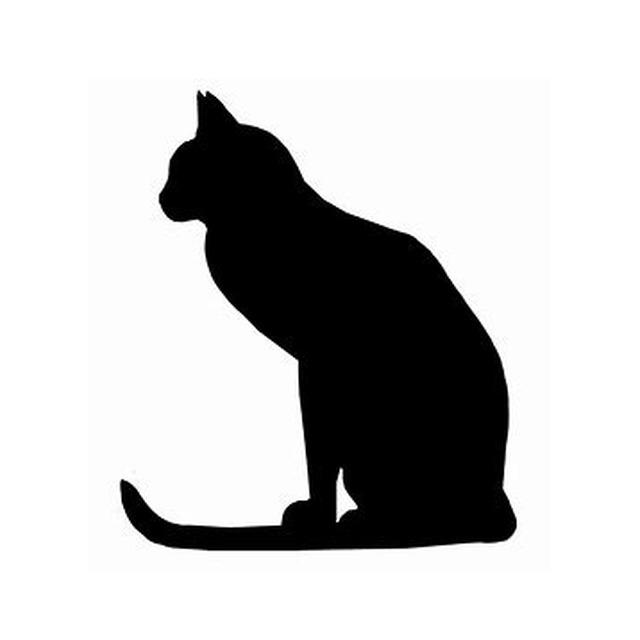 Cat 4