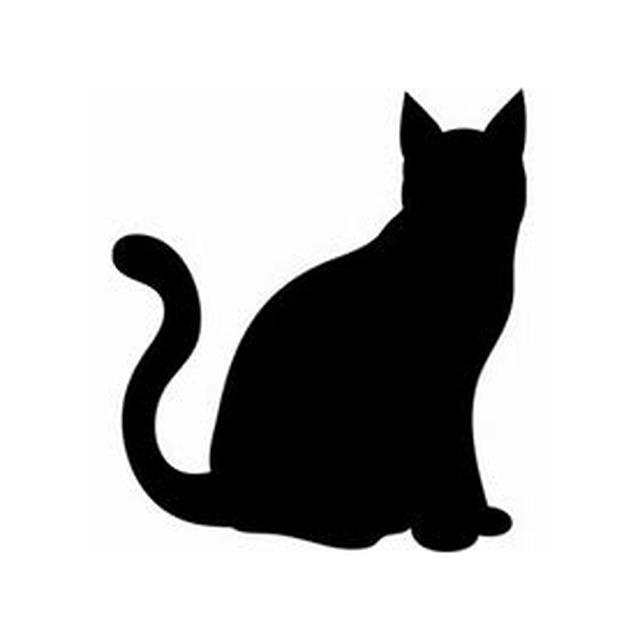 Cat 5