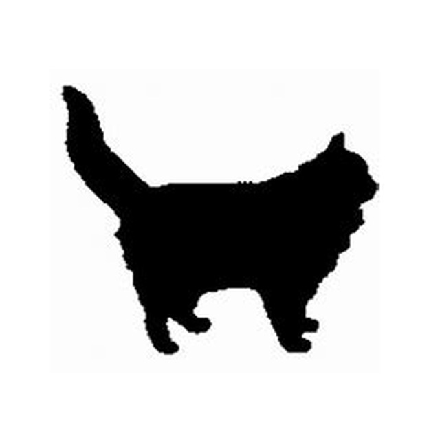 Cat 6
