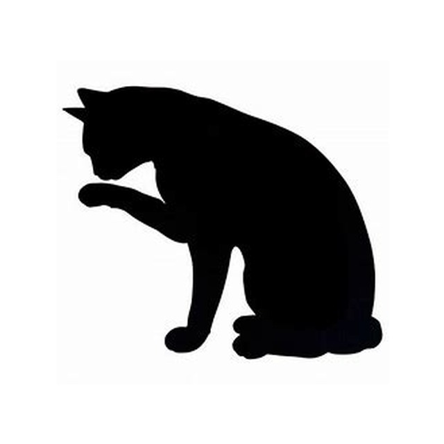 Cat 7