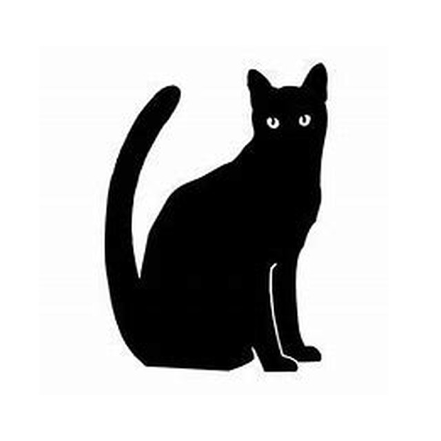 Cat 9