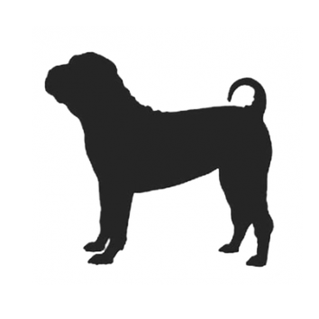 Chinese Shar Pei
