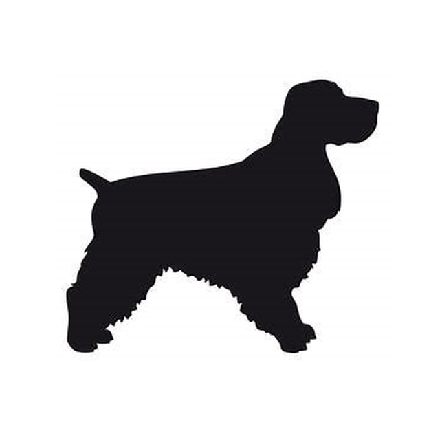 Cocker Spaniel