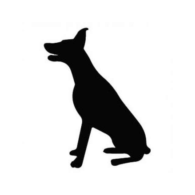 Doberman Pinscher 2