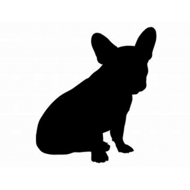 French Bulldog 2