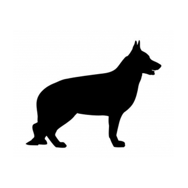 German Shepherd 1