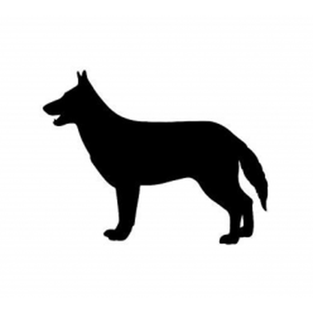 German Shepherd 2