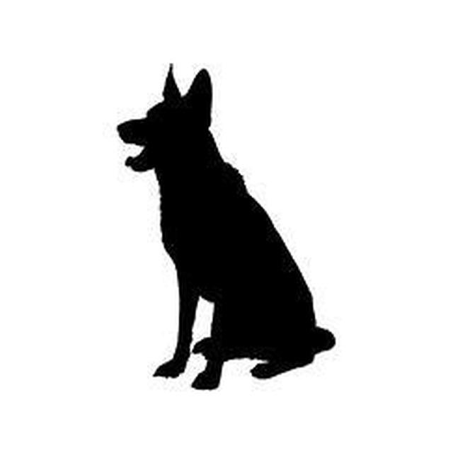 German Shepherd 3
