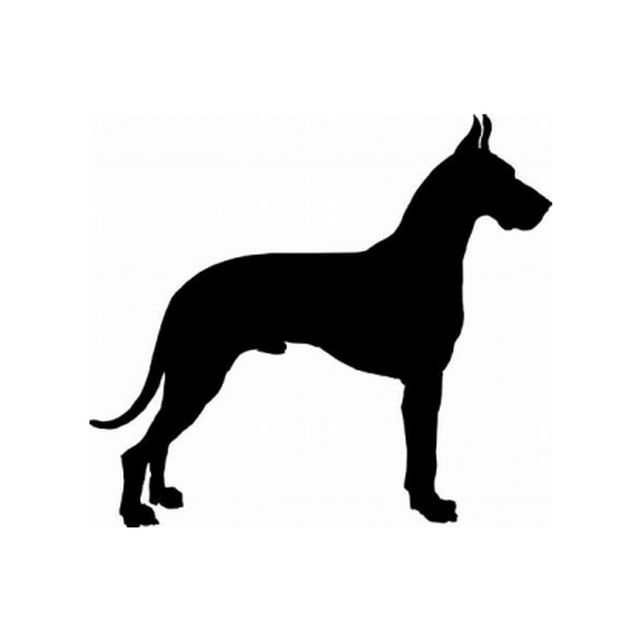 Great Dane 1