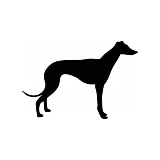 Greyhound 1