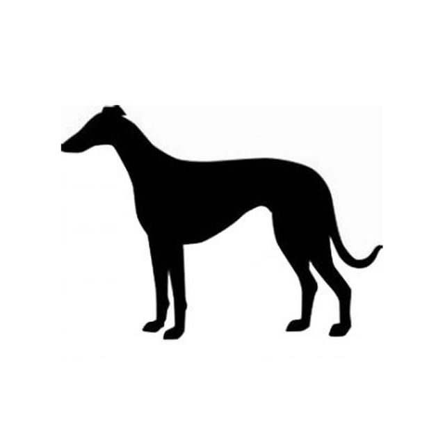 Greyhound 2