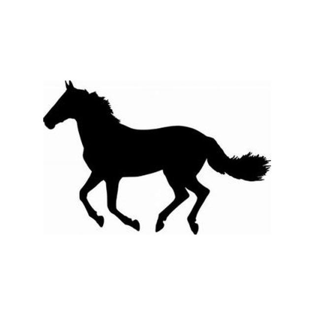 Horse 2
