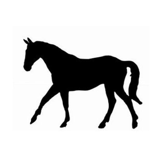 Horse 3