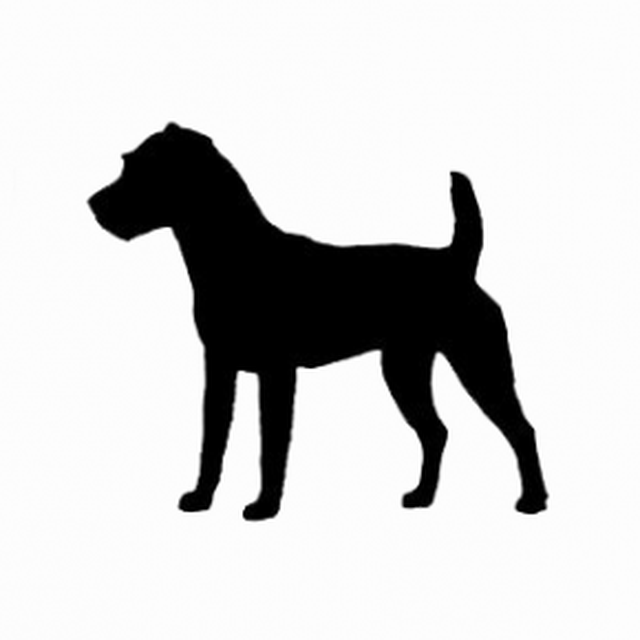 Jack Russell