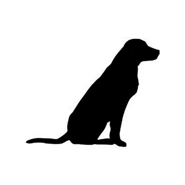 Labrador Retriever 2