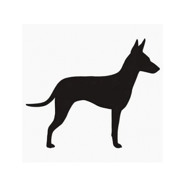 Manchester Terrier