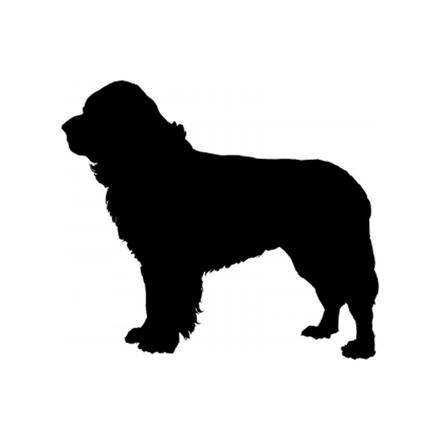 Newfoundland
