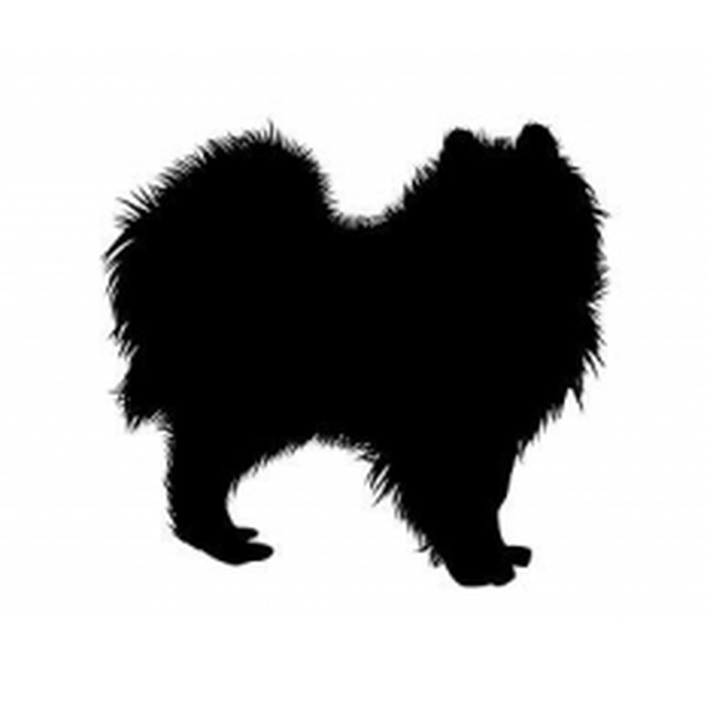 Pekingese