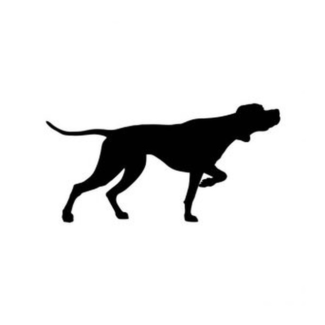 Pointer