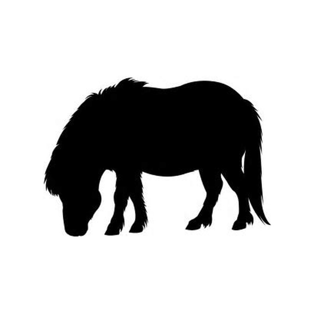 Pony 1