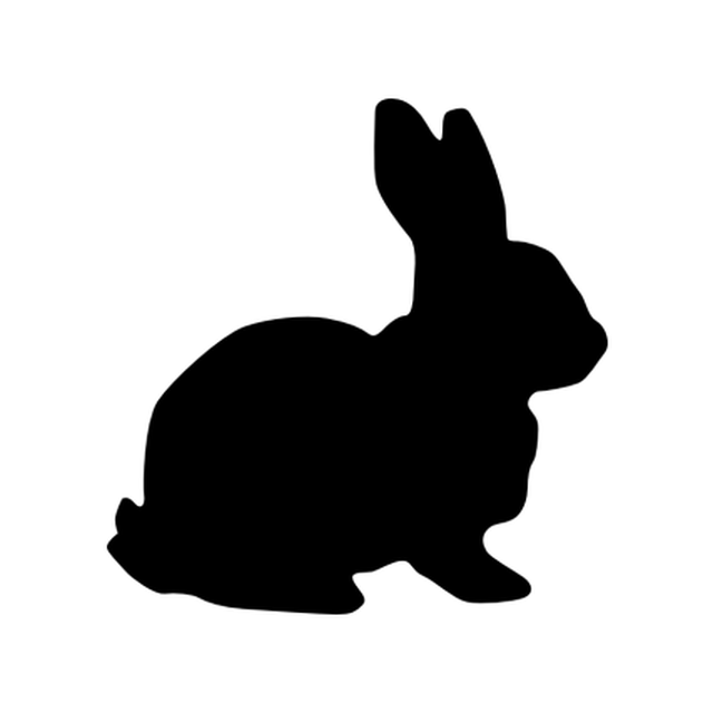 Rabbit 2
