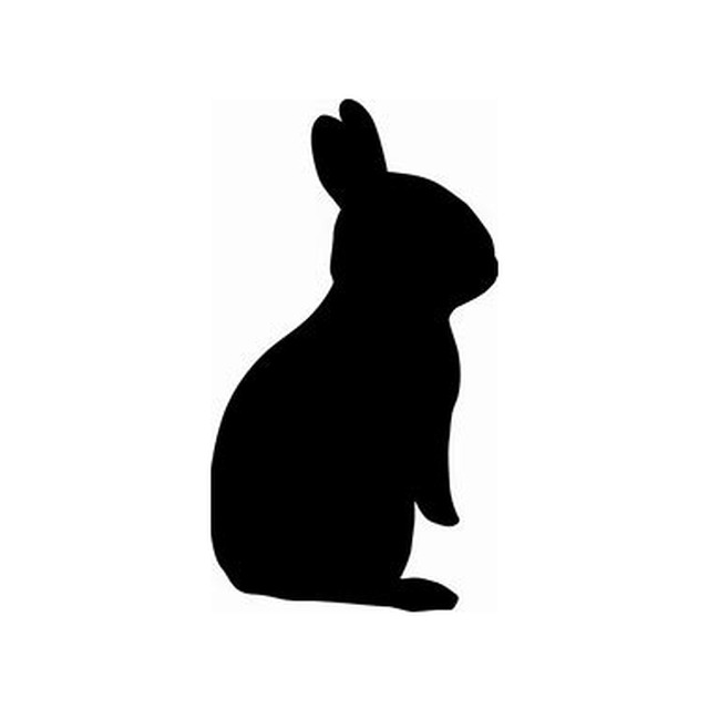 Rabbit 4