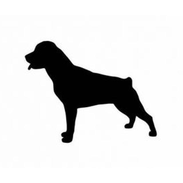 Rottweiler 1
