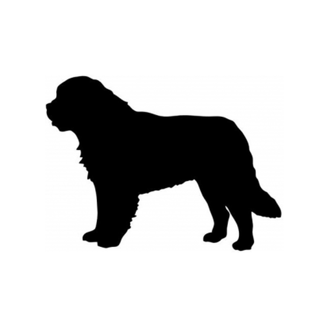 Saint Bernard