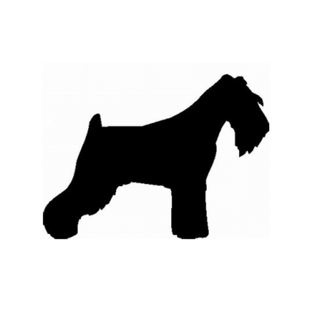 Schnauzer 1