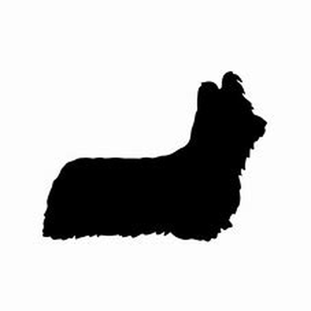 Skye Terrier