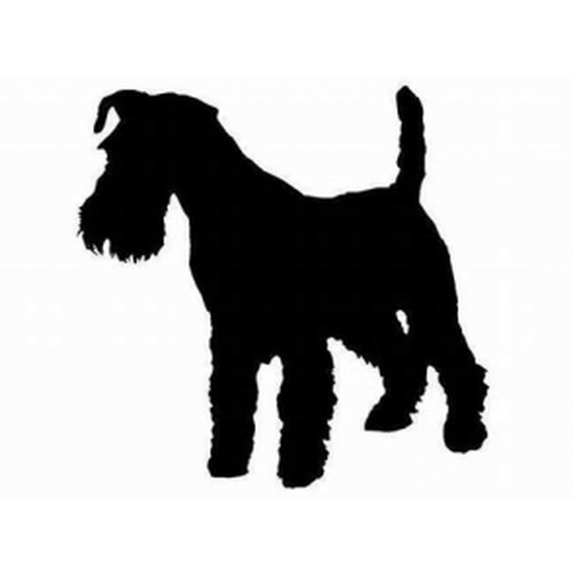 Welsh Terrier