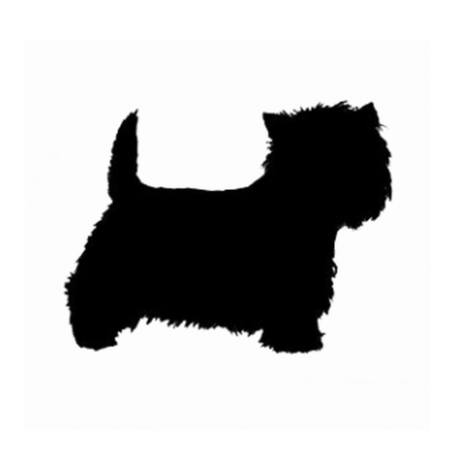 Westhighland White Terrier 1