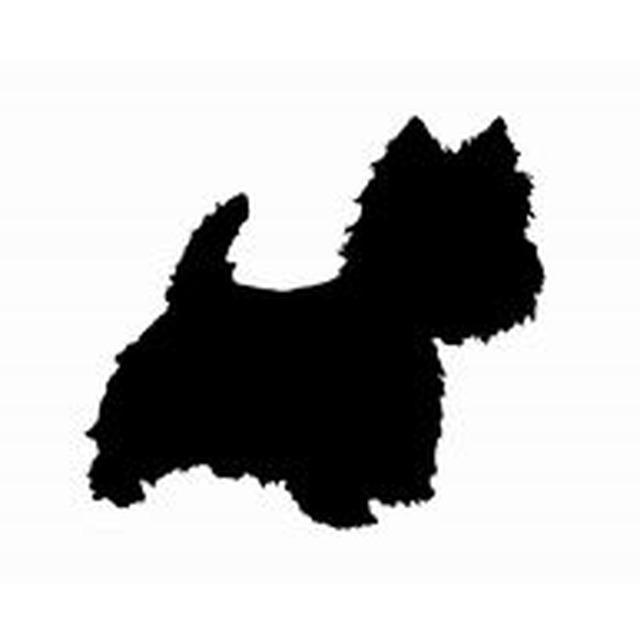 Westhighland White Terrier 2
