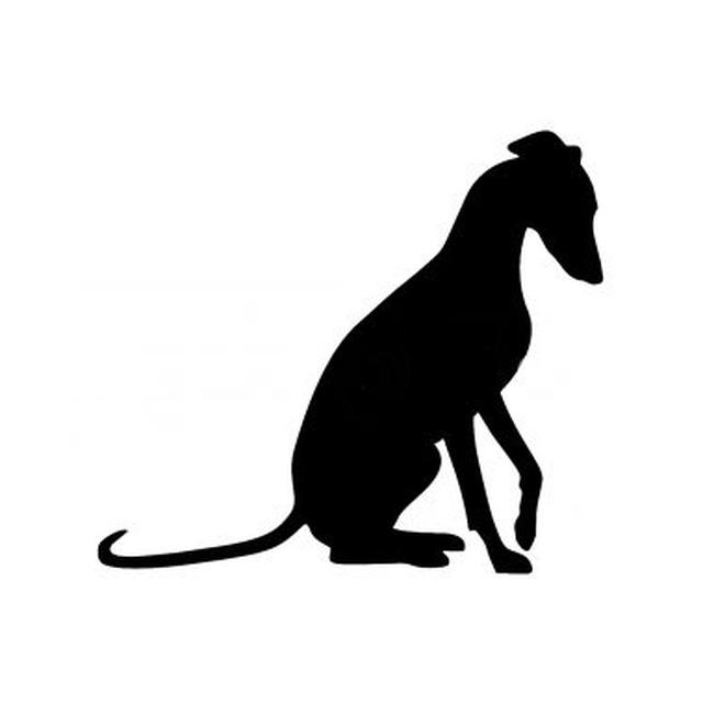 Whippet 2